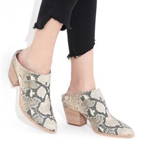 Dolce Vita Raven mule in taupe/black snakeprint